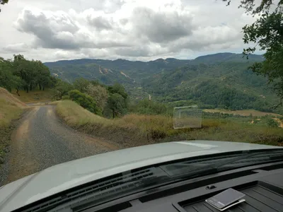 20190520_105842 (Large).jpg